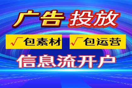 SEM广告投放中的数据监控与调整策略——以某品牌营销案例为例