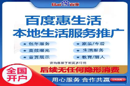 百度推广中的创意策略：成功案例解析与启示